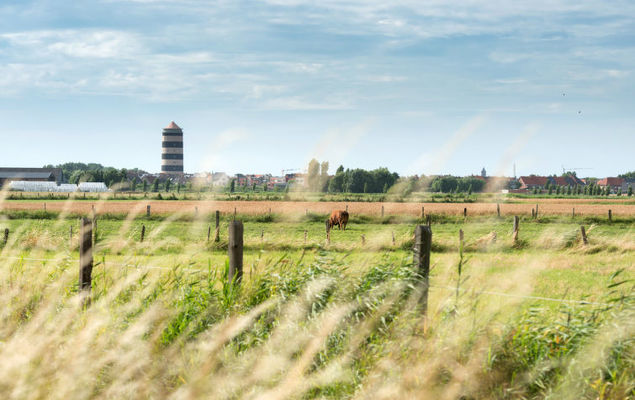 Queen Mary - Photo 6