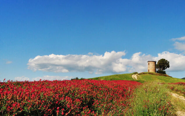 Il Secondo - Photo 27