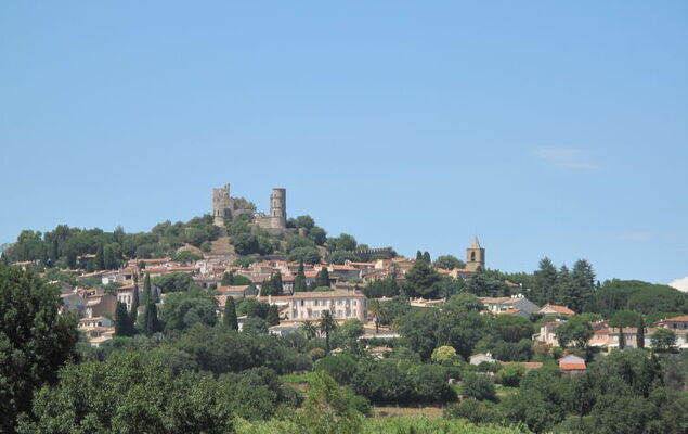 Les Terrasses de Grimaud - Photo 19