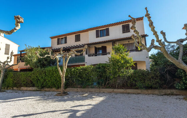 Les Hippocampes - Photo 18