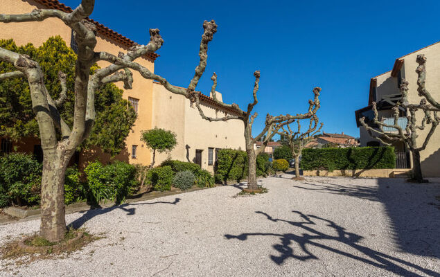 Les Hippocampes - Photo 20