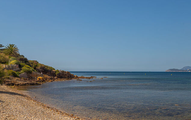 Les Hippocampes - Photo 26