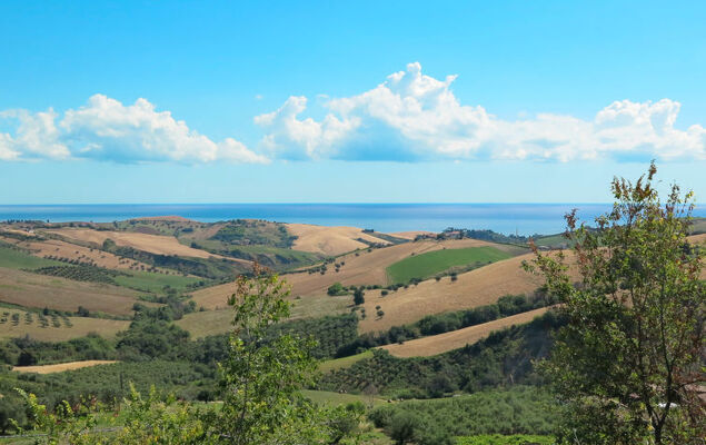 Roseto Apartments 2 - Photo 14