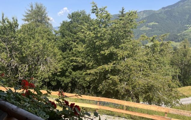 Hettegg Lehen - Photo 51