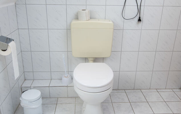 Mantelmöwe - Photo 17