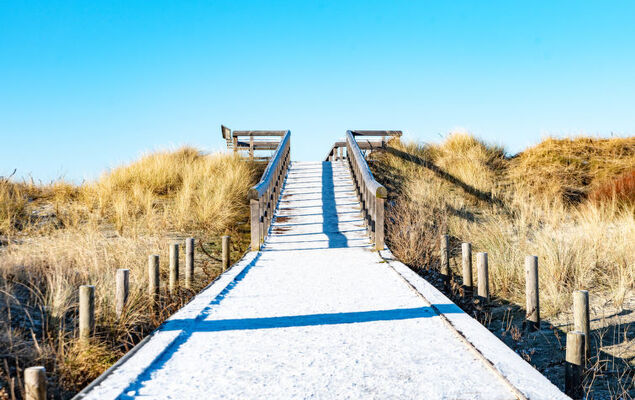 Mantelmöwe - Photo 24