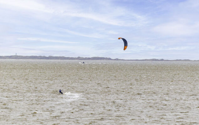 Mantelmöwe - Photo 25