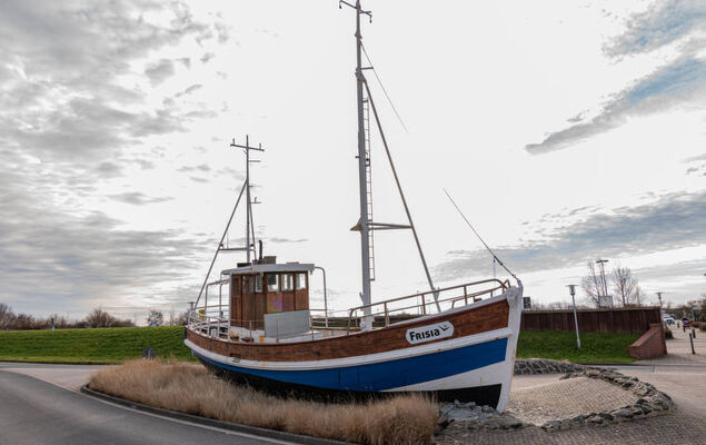 Mantelmöwe - Photo 28